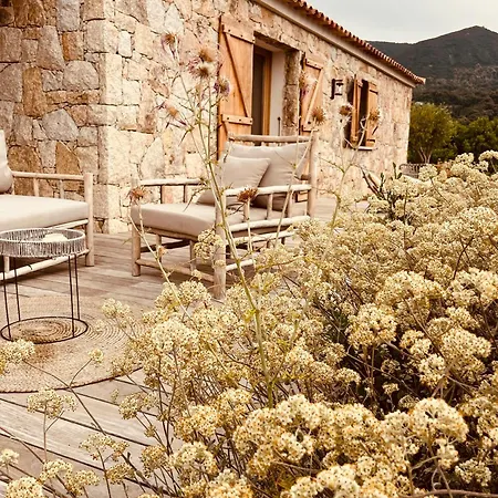 Beautiful Stone House With Sea View In Corsica 펜션
