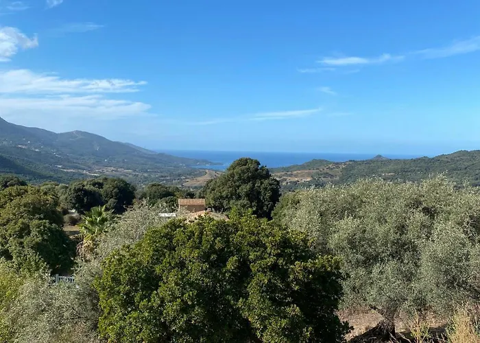 Beautiful Stone House With Sea View In Corsica 펜션 Sari-D'orcino